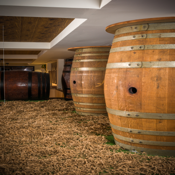 Φωτογραφίες από τον χώρο μας #DSC_5346